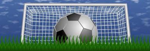 SG Wahrenholz-Wesendorf